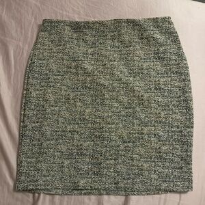 Express Pencil Skirt